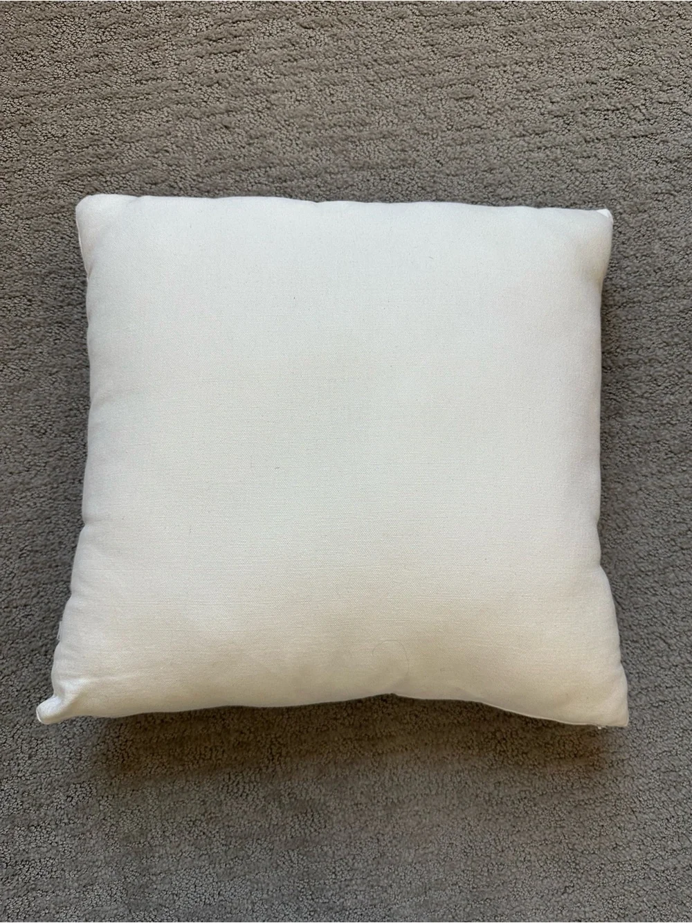 Embroidered Horse & Horseshoe Floral Throw Pillow